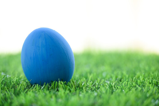 blue easter egg on lawn green grass artificial with blank white background