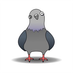 Pigeon, City Bird. Cartoon Funny Pigeon With A Suspicious Look. Crazy pigeon. Vector Illustration Isolated On A White Background.