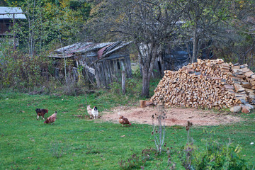 The image of firewood in the yard of an old wooden house.