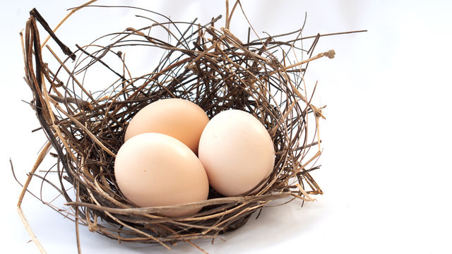 Three eggs in a nest on white use for new beginning conception, Happy Easter holidy