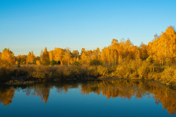 autumn forest in the evening by the lake. Autumn forest lake scene
