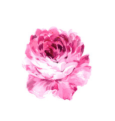 Flowers watercolor illustration.Manual composition.Big Set watercolor elements，Design for textile, wallpapers，Element for design,Greeting card