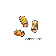 Hand drawn watercolor sketch illustration of Pasta Canneroni with lettering Canneroni isolated on white