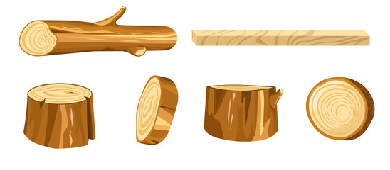 Wood log and tree stump round cut with rings set