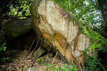 Stone in the forest
