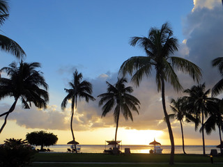 tropical sea sunset with palm silhouettes