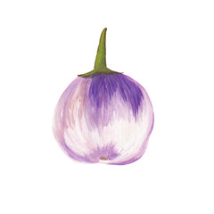 A whole round eggplant in white-violet color is isolated on a white background. Realistic hand-drawn by paints of eggplant with a green leg.