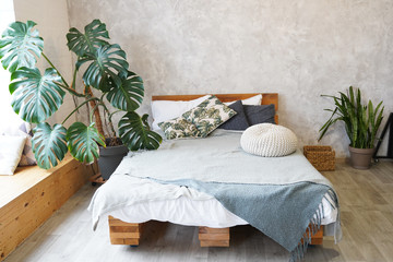 Cute pillows on wooden self-made bed in light bedroom decorated with plants. © Nastya