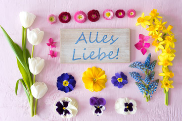 Sign With German Text Alles Liebe Means Best Wishes. Flat Lay With Spring Flower Blossoms On Pink Wooden Background