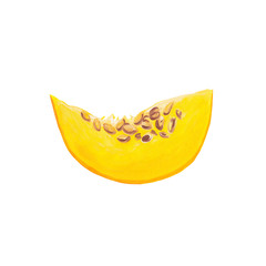 slice of cut pumpkin with seeds - isolated on white. Hand drawn yellow ripe pumpkin