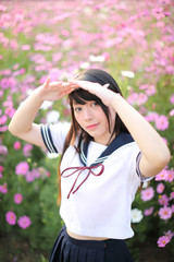 Portrait of Japanese school girl uniform with pink cosmos flower