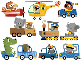 set of cute animals cartoon on vehicles © Bhonard21