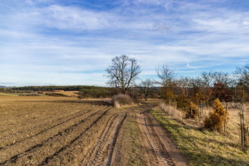 Fototapeta na wymiar Early spring. Dirt road across meadow. South Bohemia.