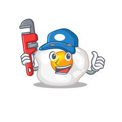 A cute picture of fried egg working as a Plumber