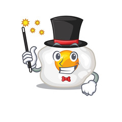 A picture of fried egg performance as a Magician