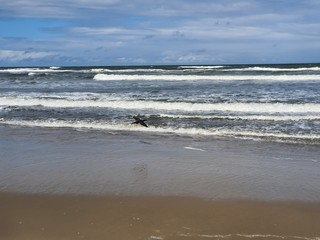 Fototapeta na wymiar waves breaking on beach