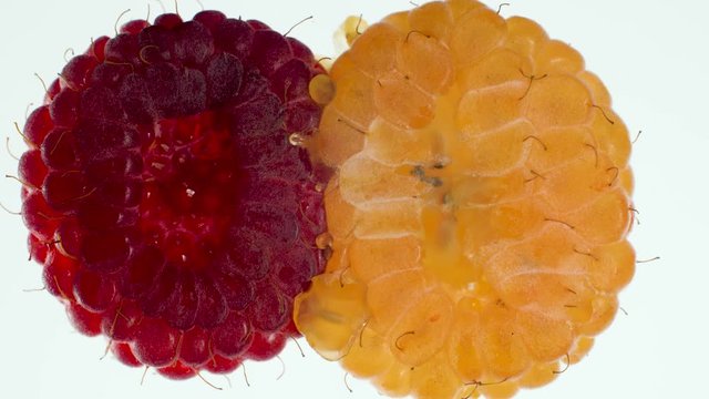 Macro 4k video of red and yellow raspberries being squeezed and crushed on hite background. Red and yellow seed in juice mixing together. Perfect abstract backdrop for organic food and healthy