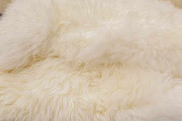 Close up fragment wool carpet,fur background.