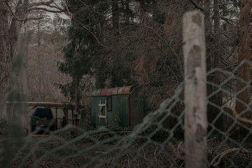  hut in forrest / hütte im wald