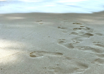 Fototapeta na wymiar sunny day the sea shore and footprints in the sand