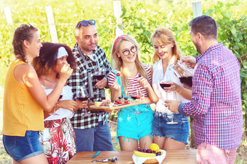 Young people tasting red wine and cheese in vineyard