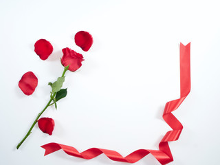 Single red rose with red ribbon.