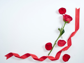 Fototapeta na wymiar Single red rose with red ribbon.
