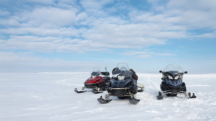 ArcticCat in search of adventure