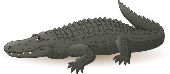 Cartoon grey alligator isolated on white background