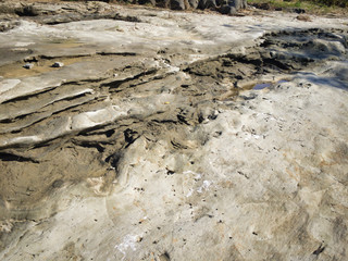 Miraculous scenery created by fossils of trees 1.7 to 2 million years ago. Most citizens do not know this fact.