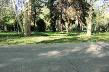 باغ گل در ایران Flower Garden