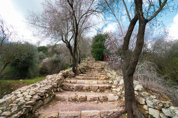 Hike in the Jerusalem Mountains, ancient stairs leading to an ancient and large pool. Winter, sataf...
