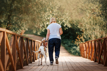 dog and owner crossing a wooden bridge, rear view