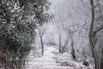 Hike in the Jerusalem Mountains, ancient stairs leading to an ancient and large pool. Winter, sataf...