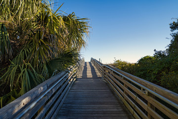 Eine einsame Holzbrücke mit Sträuchern an der Seite, die zum Strand führt