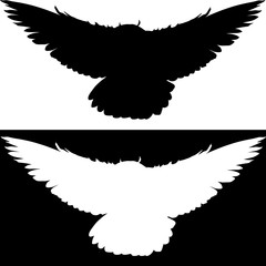owl in flight isolated on black and white illustration
