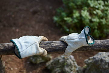 Gardeners gloves 
