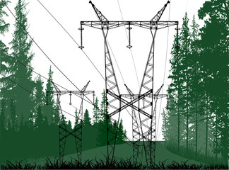electric power line in dark green forest on white