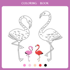 Simple educational game for kids. Illustration of two flamingos for coloring book