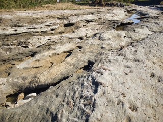  A miracle land where fossils from 1.7 to 2 million years ago are exposed on a large scale. Fossils...