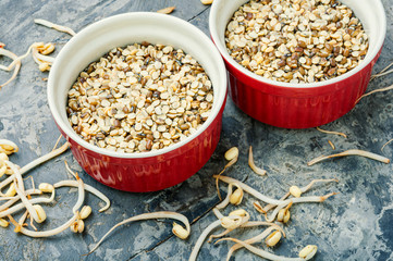 Sprout whole mung dal