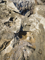  A miracle land where fossils from 1.7 to 2 million years ago are exposed on a large scale. Fossils of trees that appeared facing the river. Fossil rocks on both sides of the river. 