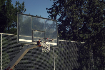 close up of a basketball hoop on a street court by the trees