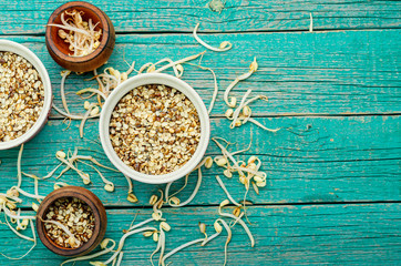 Sprout whole mung dal