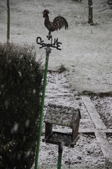 Colorful weathercock on a snow fall storm