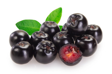 Fresh chokeberry on white background