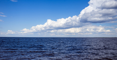 Obraz premium Shore of the Kiev Sea. Sunny weather. Close-up.