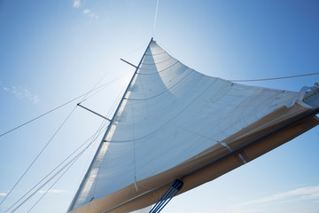 Fototapeta premium white sails against the blue sky