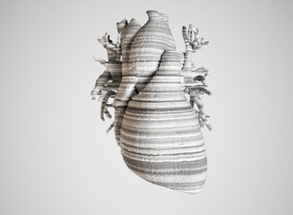 Bioprint of a heart, 3D printing of a heart, concept of the future in medicine - 3D rendering