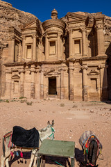Two donkeys waiting for tourist near the stunning Ad-Deir in the ancient city of Petra, Jordan....